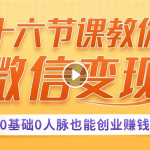 十六节课教你零基础微信变现，用单品打爆市场，每月收入超过10万+