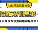 卓凡引流特训营第一期：高手零成本引流秘籍和操作技巧，让你精准流量倍增