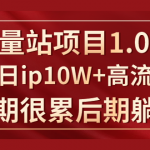 《大流量站项目1.0+2.0》打造日IP10W+高流量站，前期很累后期躺赚