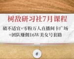 树敌研习社7月课程：破不适宜+零粉万人直播间卡广场+团队赚佣16W美女号套路