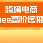 2020跨境电商蓝海新机会-SHOPEE大卖特训营：高阶终极课程（16节课）