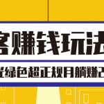 淘客赚钱玩法2.0，阳光绿色超正规项目，月躺赚2W+【视频课程】