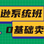 亚马逊系统班，专为0基础卖家量身打造，亚马逊运营流程与架构