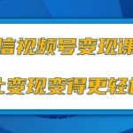 微信视频号变现项目，0粉丝冷启动项目和十三种变现方式