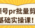 视频号PR批量剪辑0基础实操课，PR批量处理伪原创一分钟一个视频【共2节】