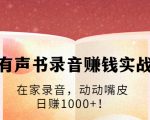 有声书录音赚钱实战：在家录音，动动嘴皮，日赚1000+！