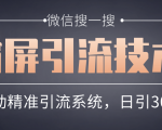 微信搜一搜霸屏引流技术，打造被动精准引流系统，轻松日引300+流量