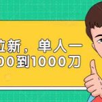 Paypal拉新赚美刀项目，单人一天利润500-1000刀【视频课程】