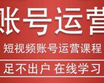 短视频账号运营课程：从话术到短视频运营再到直播带货全流程，新人快速入门