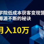 素宣成长学院低成本获客变现营，教你流量源源不断的秘诀，轻松月入10万