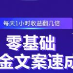 零基础吸金文案速成，每天1小时收益翻几倍价值499元