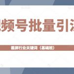 视频号批量引流，霸屏行业关键词（基础班）全面系统讲解视频号玩法