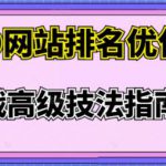 樊天华·SEO网站排名优化实战高级技法指南，让客户找到你