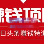 懒人领域·今日头条项目玩法，头条中视频项目，单号收益在50—500可批量