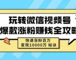 玩转微信视频号爆款涨粉赚钱全攻略，快速涨粉百万变现万元秘诀