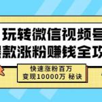 玩转微信视频号爆款涨粉赚钱全攻略，快速涨粉百万变现万元秘诀