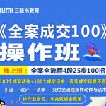 《全案成交100》全案全流程4段25步100招，操作班