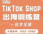 疯人院:TikTok Shop出海训练营（一店卖全球)，出海抢占全球新流量