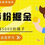 全网2022独家暴利项目，负债粉掘金，日搞5000的路子