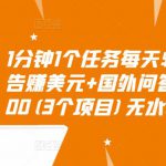 1分钟1个任务每天$30+点击广告赚美元+国外问答10分钟赚100(3个项目)无水印