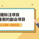 副业赚钱：人工智能数据标注项目，简单易上手，小白也能日入200+