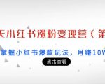 21天小红书涨粉变现营（第3期）：带你掌握小红书爆款玩法，月赚10W+秘密