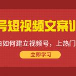 视频号短视频文案训练营：0基础小白如何建立视频号，上热门，能卖货！