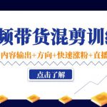 短视频带货混剪训练营：底层逻辑+内容输出+方向+快速涨粉+直播方法