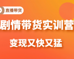 《剧情带货实训营》目前最好的直播带货方式，变起现来是又快又猛（价值980元）