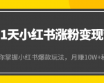 21天小红书涨粉变现营（第4期）：带你掌握小红书爆款玩法，月赚10W+秘密