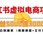 小红书虚拟电商项目：从小白到精英 月收益5000到30000 (视频课程+交付手册)