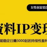 资料IP变现，能稳定日赚3000起的持续性盈利玩法