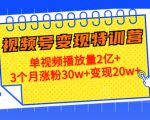 21天视频号变现特训营：单视频播放量2亿+3个月涨粉30w+变现20w+（第14期）