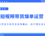 2023短视频带货爆单运营，从账号定位到学会选预爆品，到代理完成出单（价值1250元）