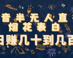 抖音半无人直播烟花表白，日赚几十到几百（教程+视频模板素材）