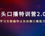 镜头口播特训营2.0版，学习文案编导以及拍摄口播能力（50节课时）