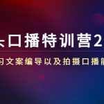 镜头口播特训营2.0版，学习文案编导以及拍摄口播能力（50节课时）