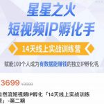 瑶瑶·自然流短视频IP孵化第二期，14天线上实战训练营，赋能100个人成为有数据能赚钱的独立IP孵化手