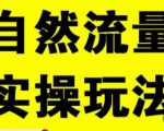 拼多多自然流量天花板，拼多多自然流的实操玩法，自然流量是怎么来的，如何开车带来自然流等知识