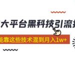 大平台黑科技引流技术，小白也能靠这些技术混到月入1W+(2022年的课程）