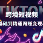 跨境短视频TIKTOK 0基础到精通网赚变现套课，跨境短视频独立站带货变现技巧