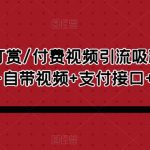 视频打赏/付费视频引流吸粉/定时弹窗广告+自带视频+支付接口+源码自适应