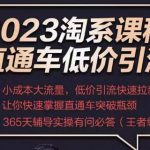 2023直通车低价引流玩法课程，小成本大流量，低价引流快速拉新收割，让你快速掌握直通车突破瓶颈