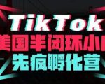 疯人院·TIKTOK美国半闭环小店孵化营，抢占TIKTOK美国蓝海市场，开店、运营、带货、投流全实操