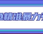 闲鱼精准暴力引流全系列课程，每天被动精准引流100+粉丝