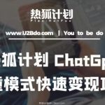 热狐计划：王大陆CHATGPT多重变现实操课，多种模式快速变现