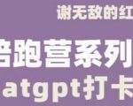 谢无敌CHATGPT打卡营，教你更好地使用CHATGPT来提高工作效率