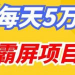 百度万词霸屏实操项目引流课，30天霸屏10万关键词