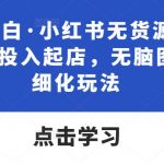 绅白不白·小红书无货源第五版，零投入起店，无脑图文精细化玩法