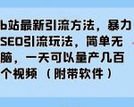 B站最新引流方法，暴力SEO引流玩法，简单无脑，一天可以量产几百个视频（附带软件）